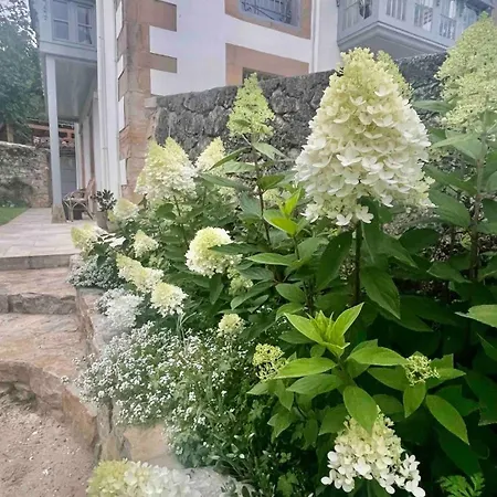 Historic Colonial Near The Coast Vakantiehuis Rudaguera